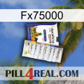 Fx75000 11
